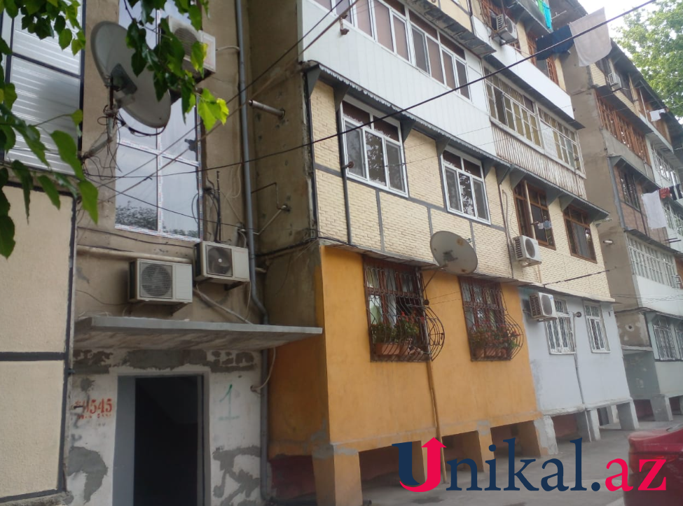 Mingəçevirdə binanın blokundan gürzə çıxdı - FOTOLAR